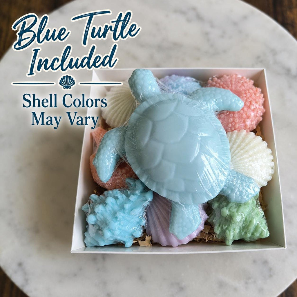 Beach Themed Soap Gift Box – Ready to Ship – Blue Sea Turtle & Coastal Soap Collection