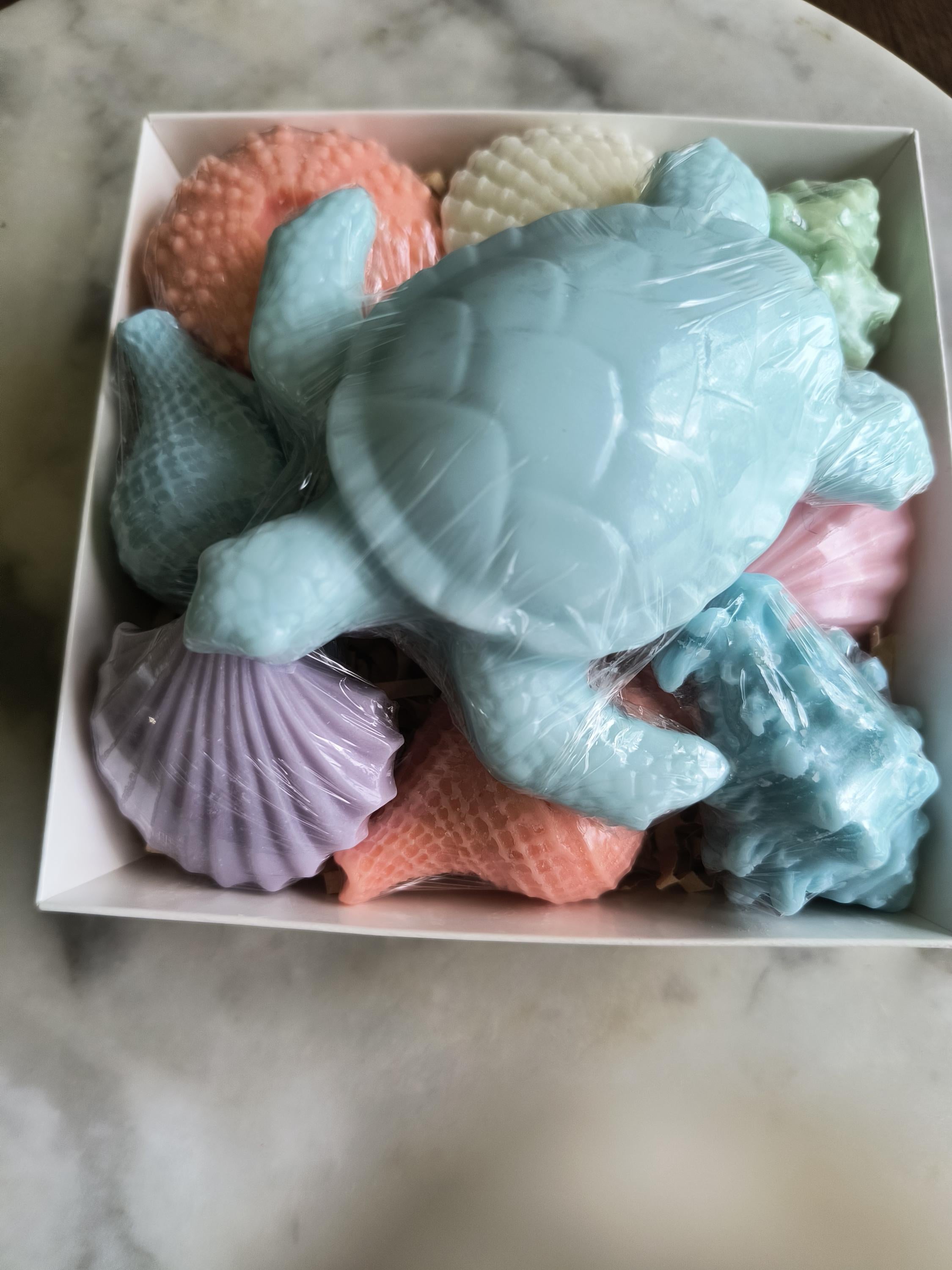 Beach Themed Soap Gift Box – Ready to Ship – Blue Sea Turtle & Coastal Soap Collection