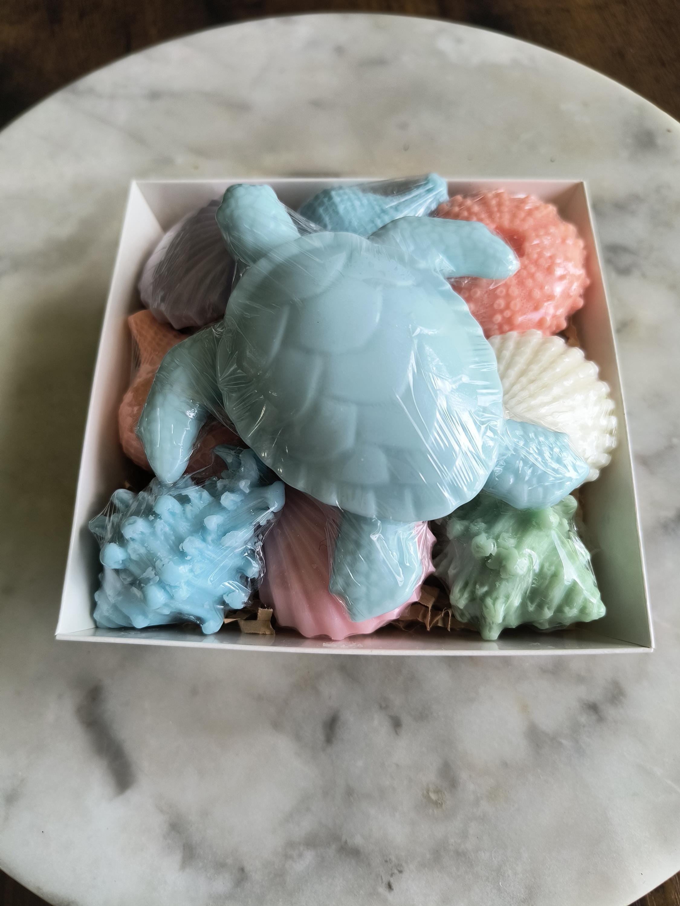 Beach Themed Soap Gift Box – Ready to Ship – Blue Sea Turtle & Coastal Soap Collection
