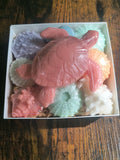 Beach Themed Soap Gift Box – Ready to Ship – Coral Sea Turtle & Coastal Soap Collection