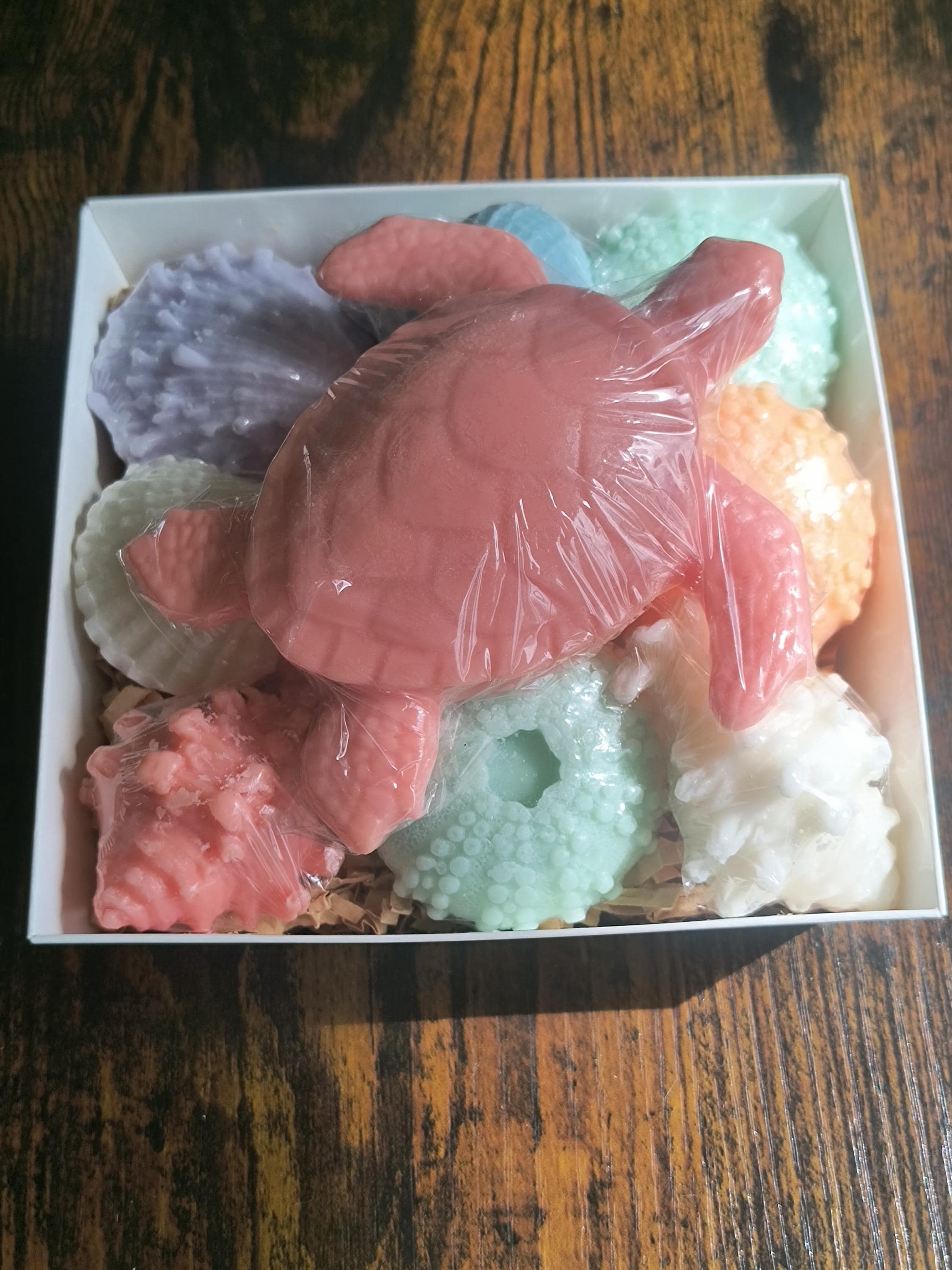 Beach Themed Soap Gift Box – Ready to Ship – Coral Sea Turtle & Coastal Soap Collection