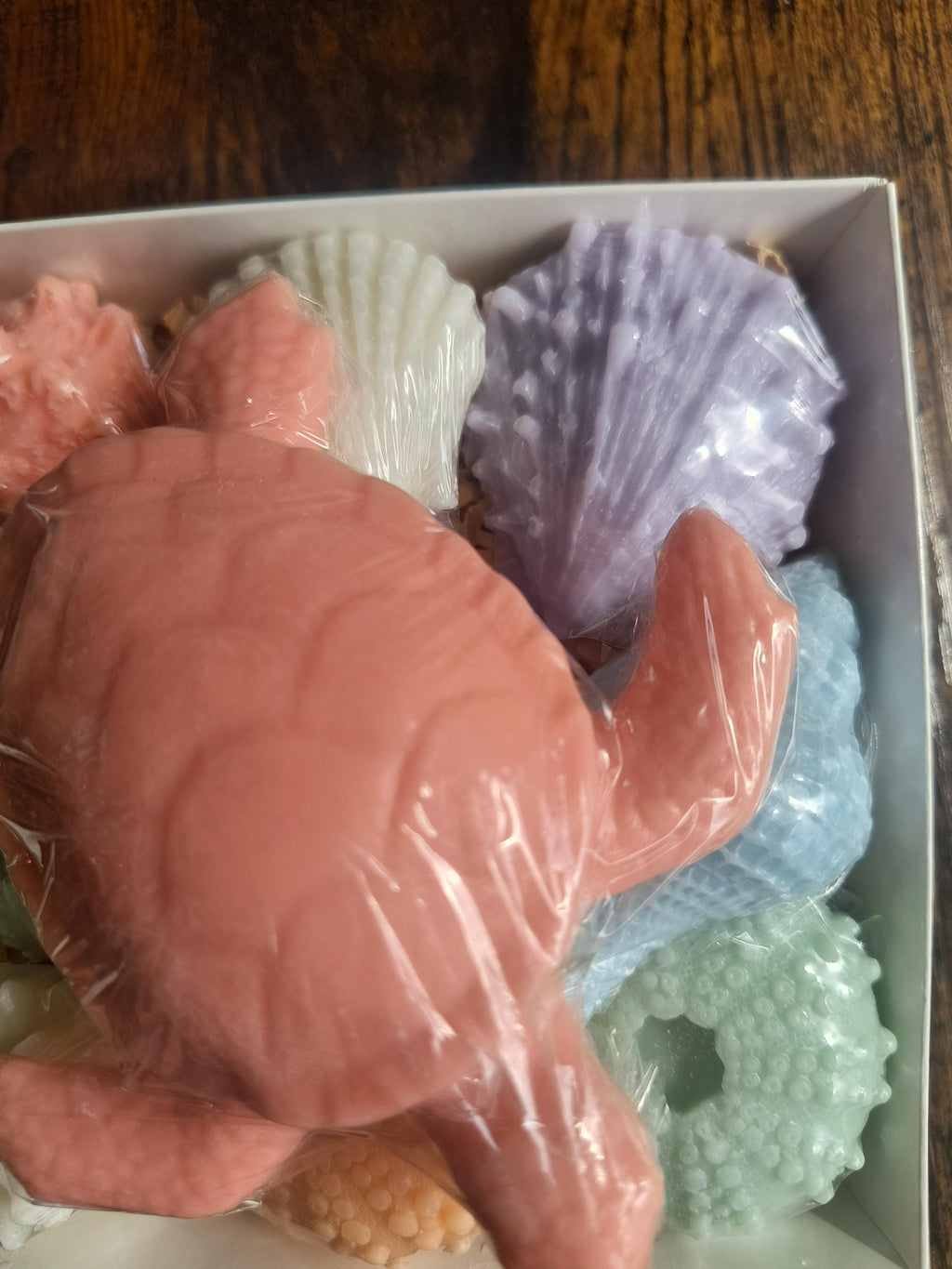 Beach Themed Soap Gift Box – Ready to Ship – Coral Sea Turtle & Coastal Soap Collection