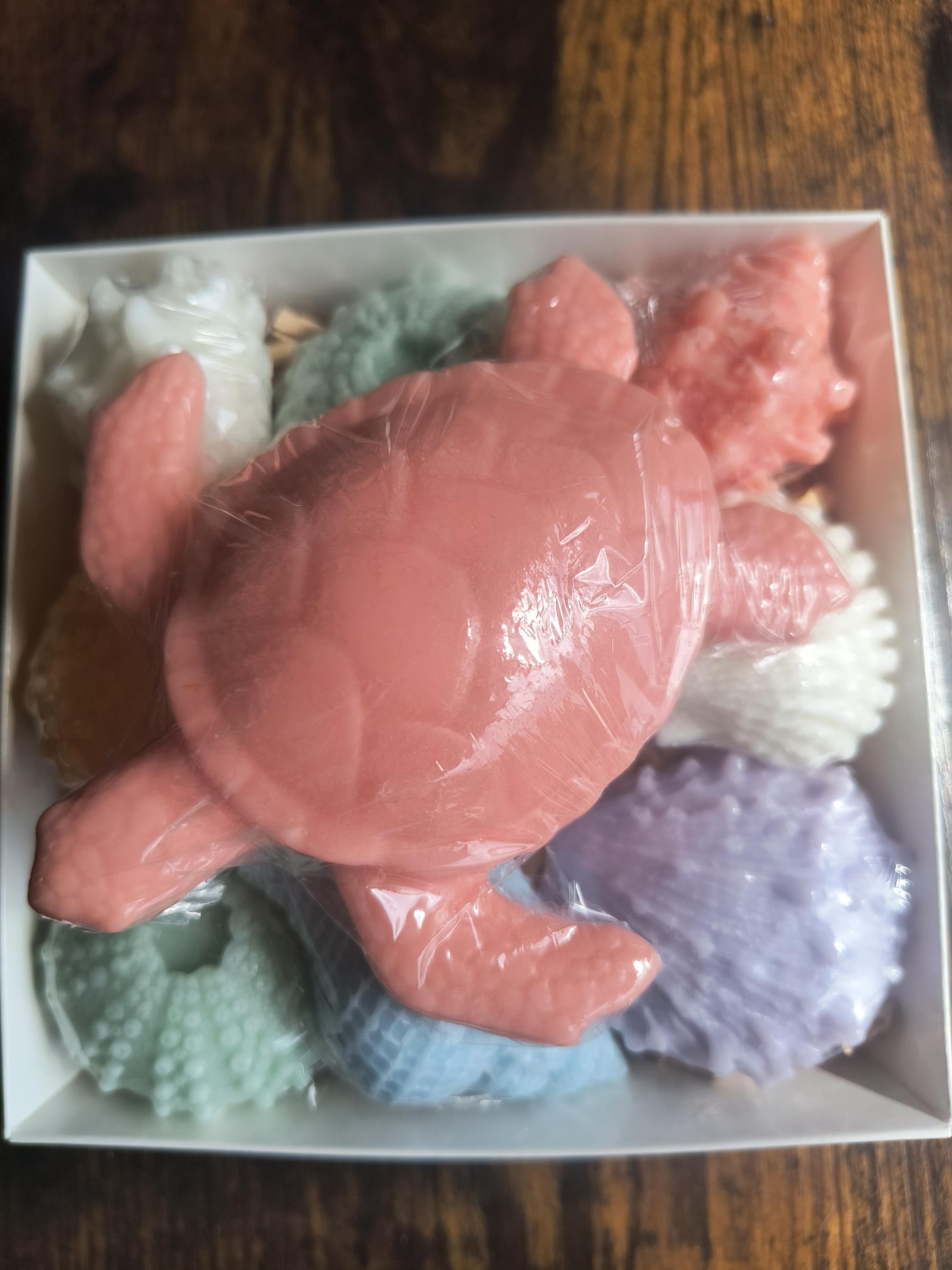 Beach Themed Soap Gift Box – Ready to Ship – Coral Sea Turtle & Coastal Soap Collection