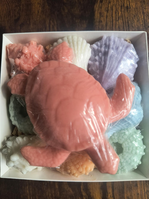 Beach Themed Soap Gift Box – Ready to Ship – Coral Sea Turtle & Coastal Soap Collection