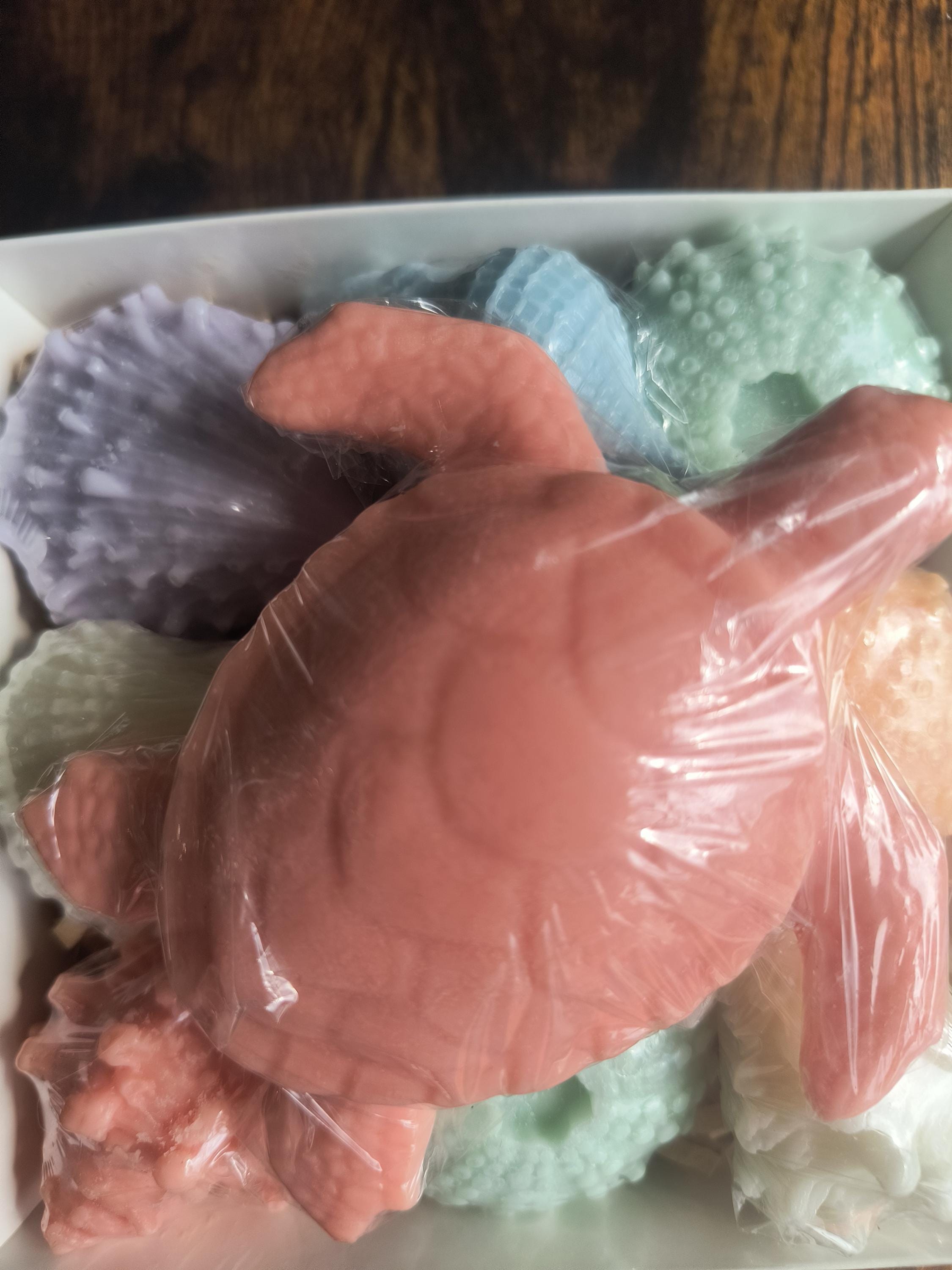 Beach Themed Soap Gift Box – Ready to Ship – Coral Sea Turtle & Coastal Soap Collection
