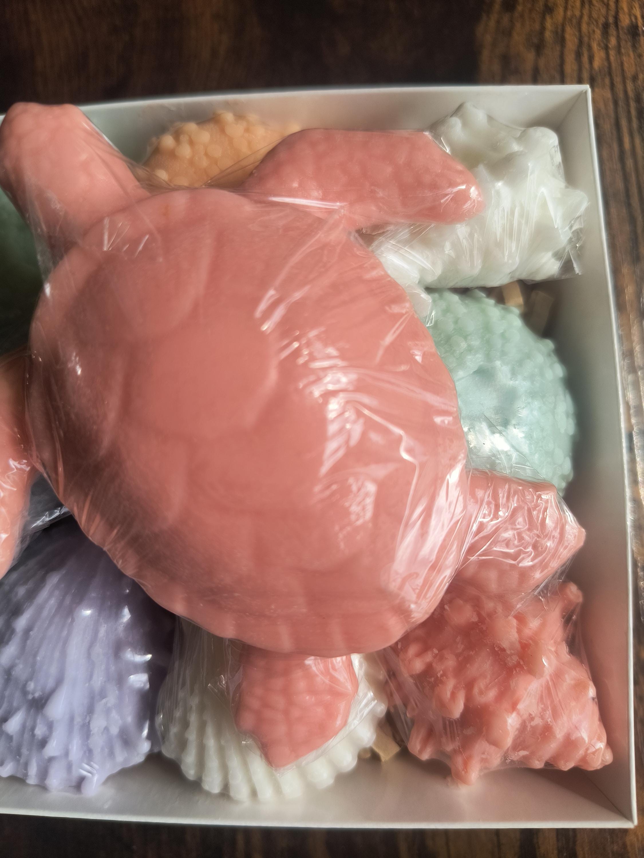 Beach Themed Soap Gift Box – Ready to Ship – Coral Sea Turtle & Coastal Soap Collection