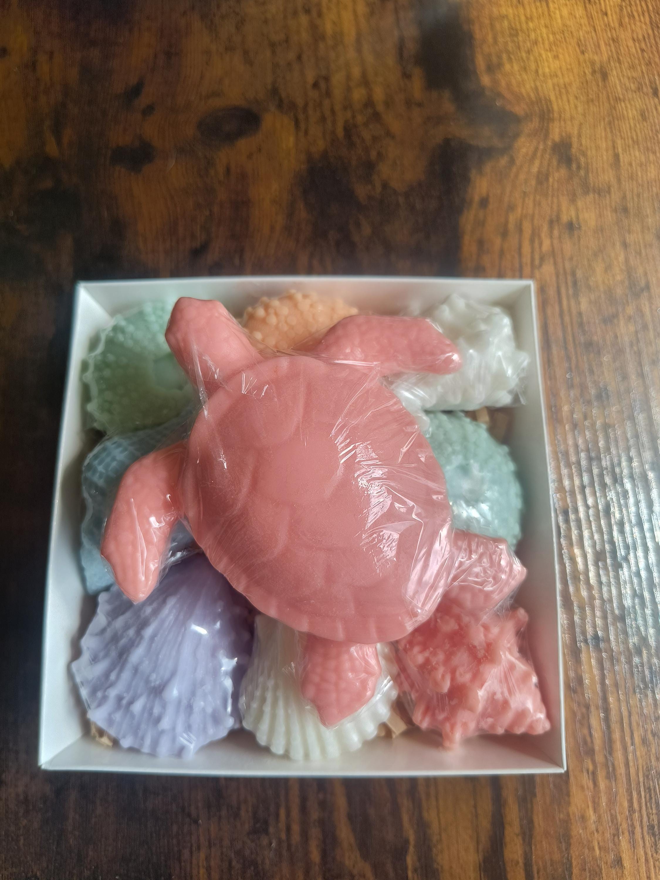 Beach Themed Soap Gift Box – Ready to Ship – Coral Sea Turtle & Coastal Soap Collection