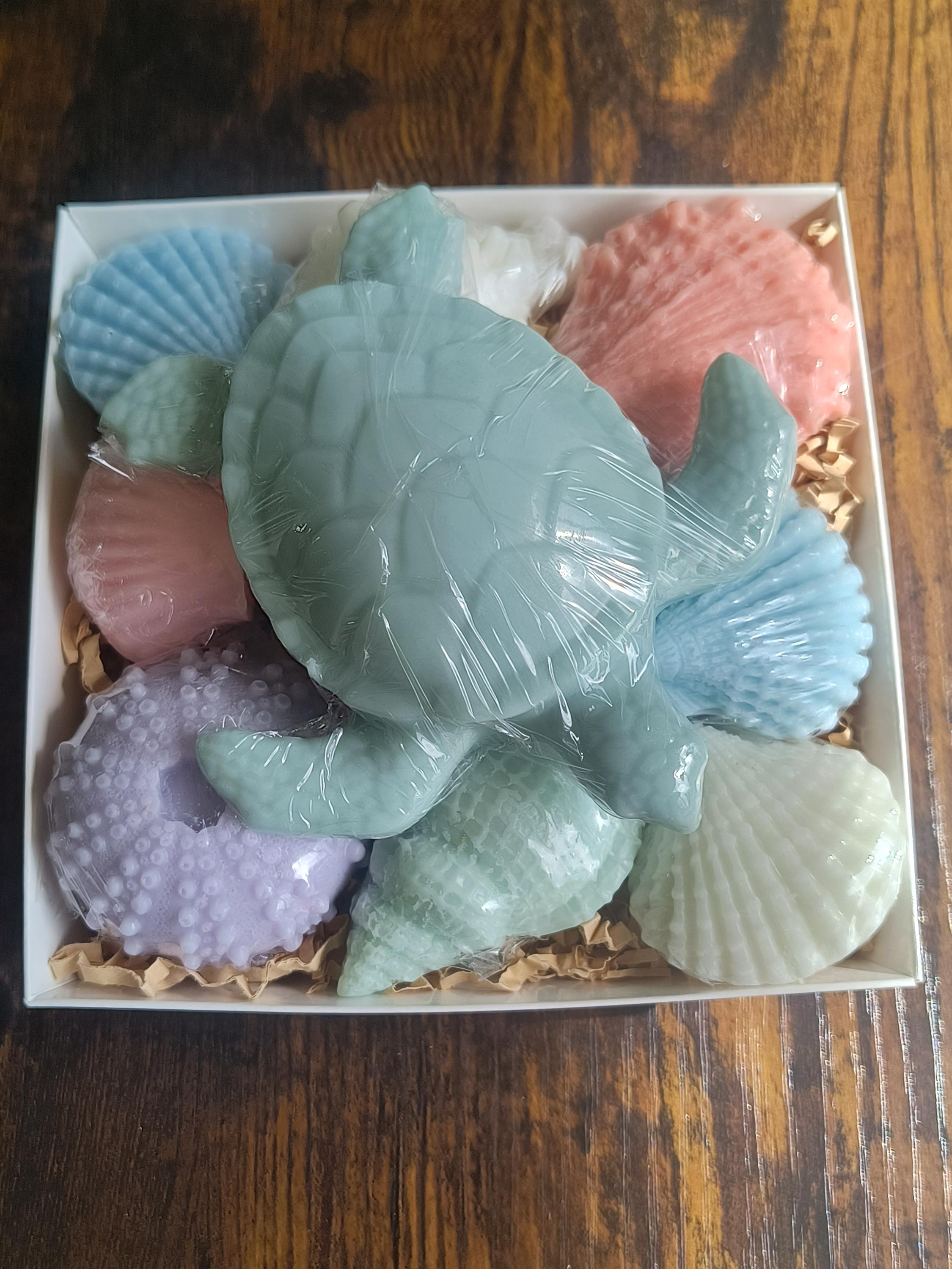 Beach Themed Soap Gift Box – Ready to Ship – Green Sea Turtle & Coastal Soap Collection