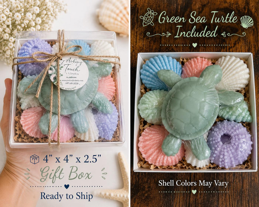Beach Themed Soap Gift Box – Ready to Ship – Green Sea Turtle & Coastal Soap Collection