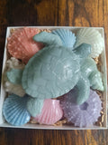 Beach Themed Soap Gift Box – Ready to Ship – Green Sea Turtle & Coastal Soap Collection