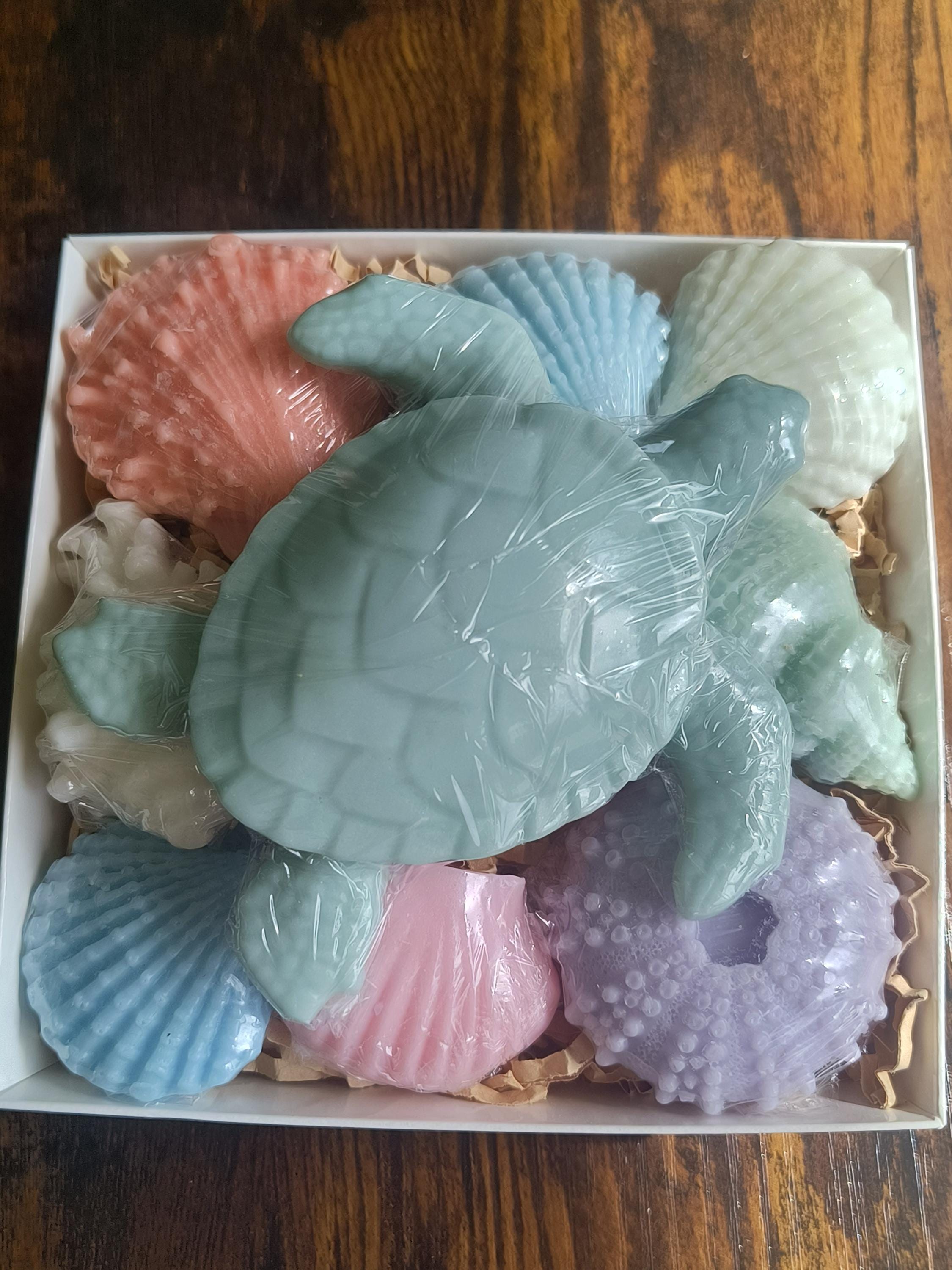 Beach Themed Soap Gift Box – Ready to Ship – Green Sea Turtle & Coastal Soap Collection
