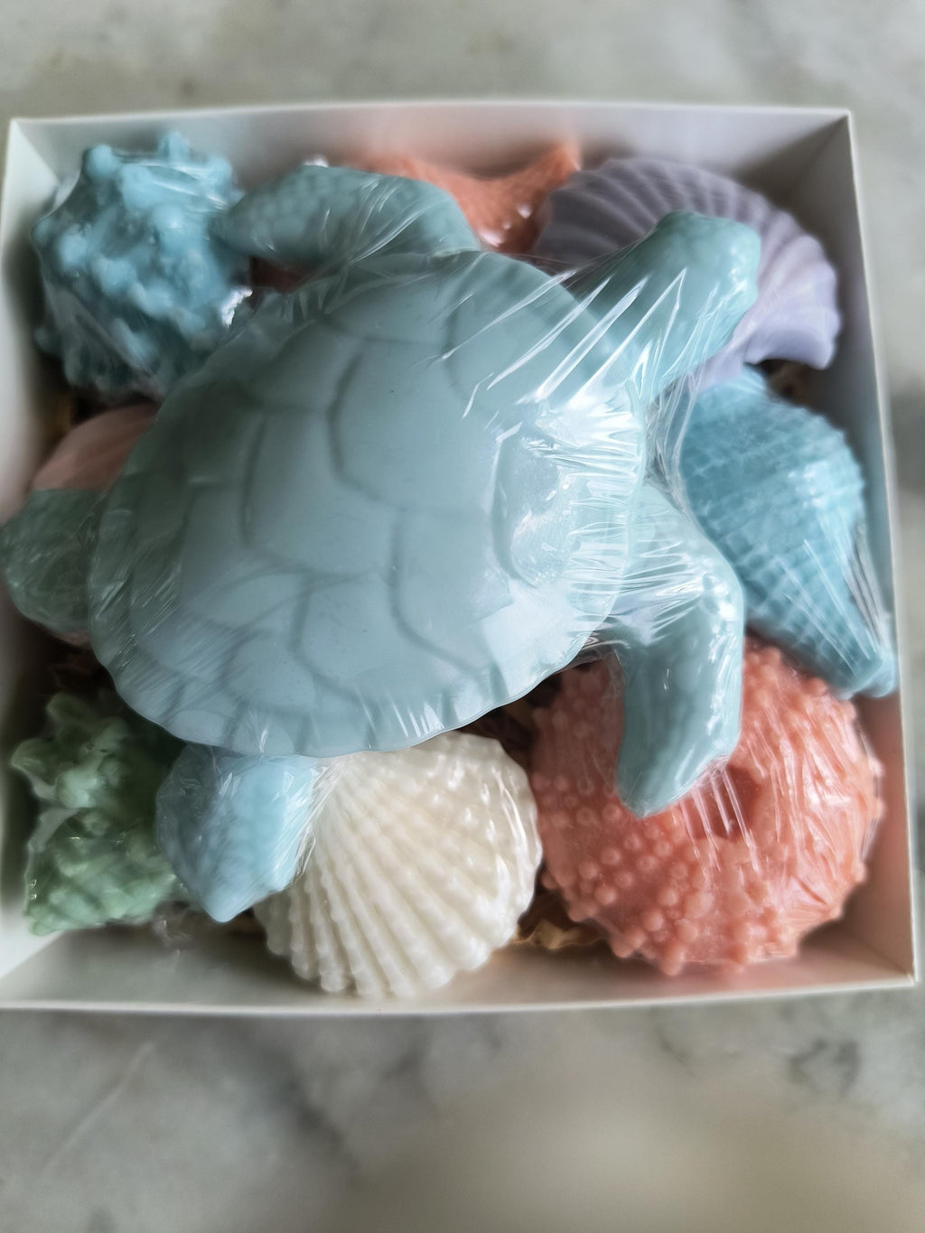 Beach Themed Soap Gift Box – Ready to Ship – Blue Sea Turtle & Coastal Soap Collection