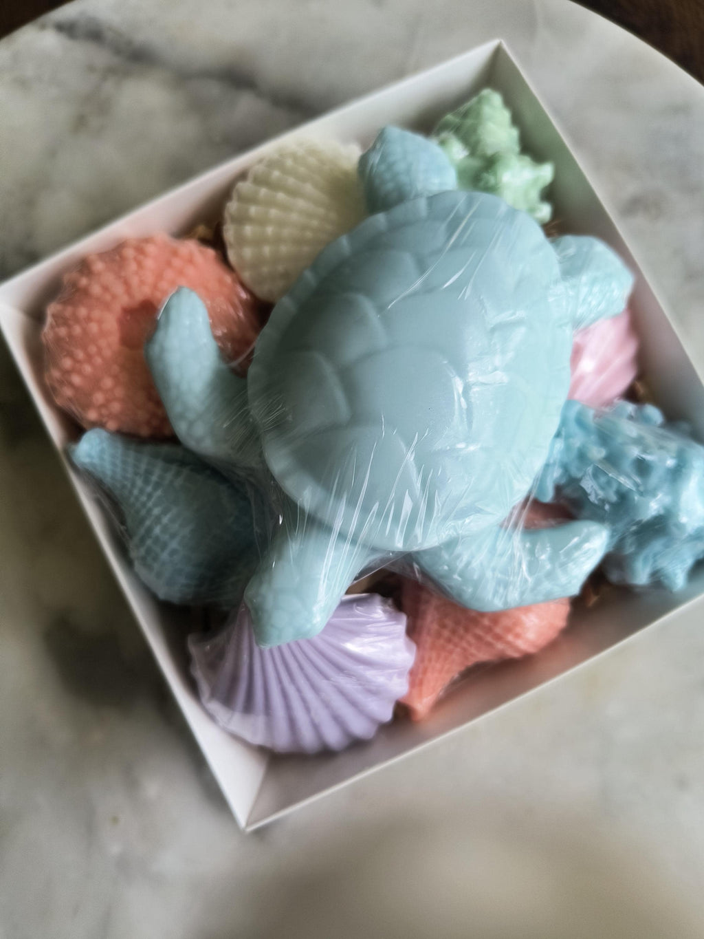 Beach Themed Soap Gift Box – Ready to Ship – Blue Sea Turtle & Coastal Soap Collection