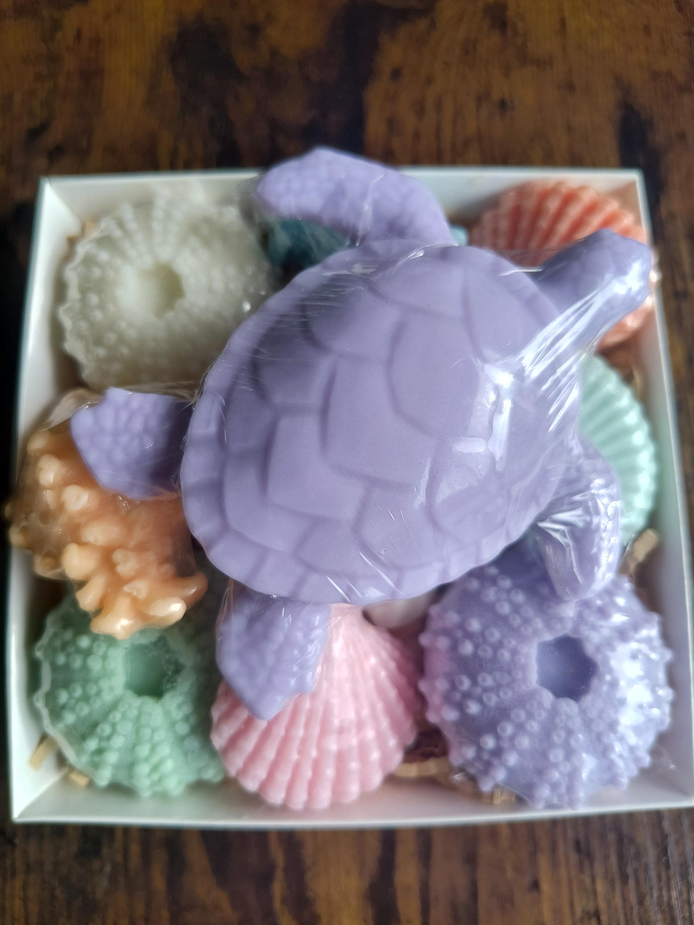 Beach Themed Soap Gift Box – Ready to Ship – Purple Sea Turtle & Coastal Soap Collection