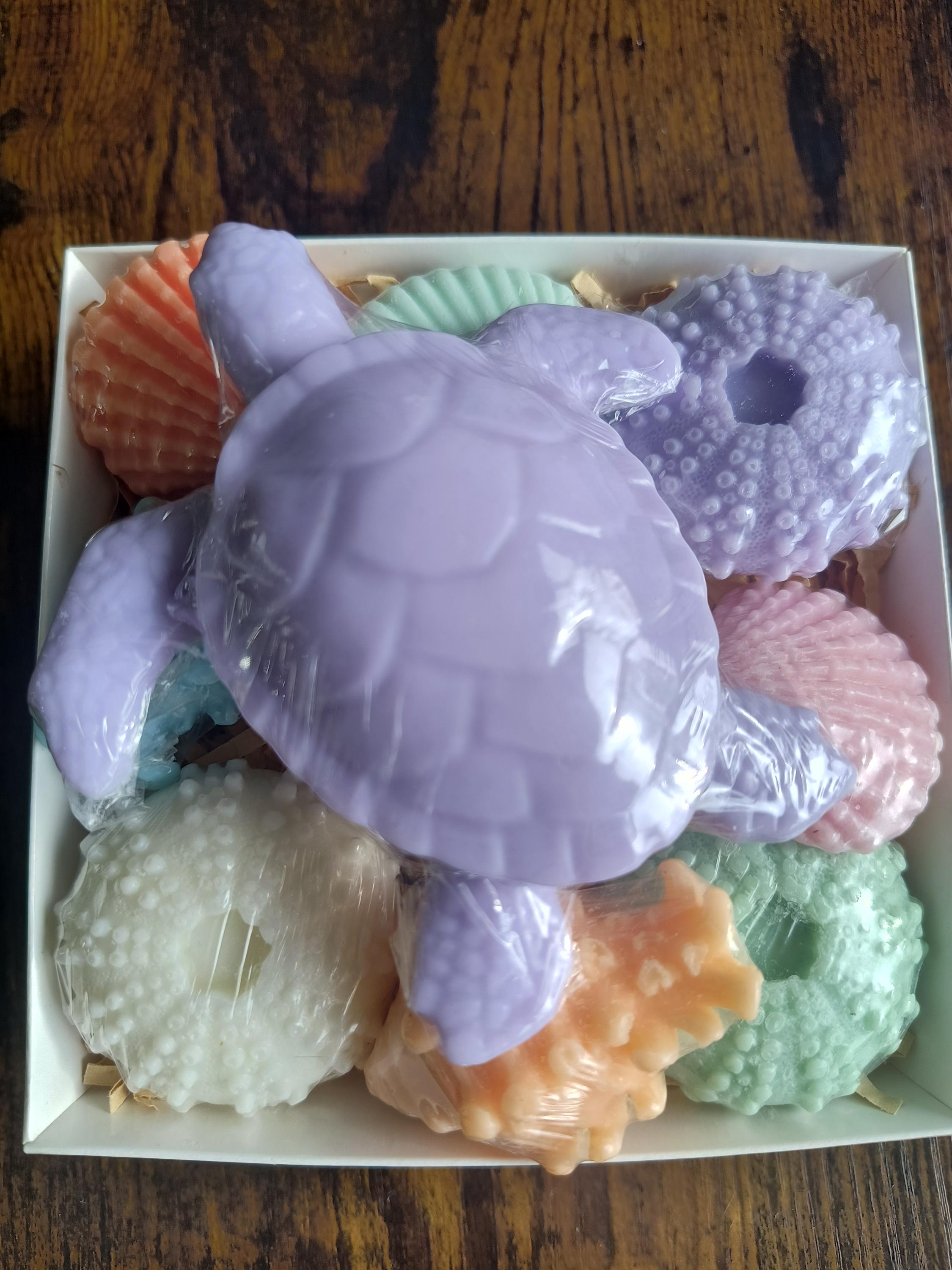 Beach Themed Soap Gift Box – Ready to Ship – Purple Sea Turtle & Coastal Soap Collection