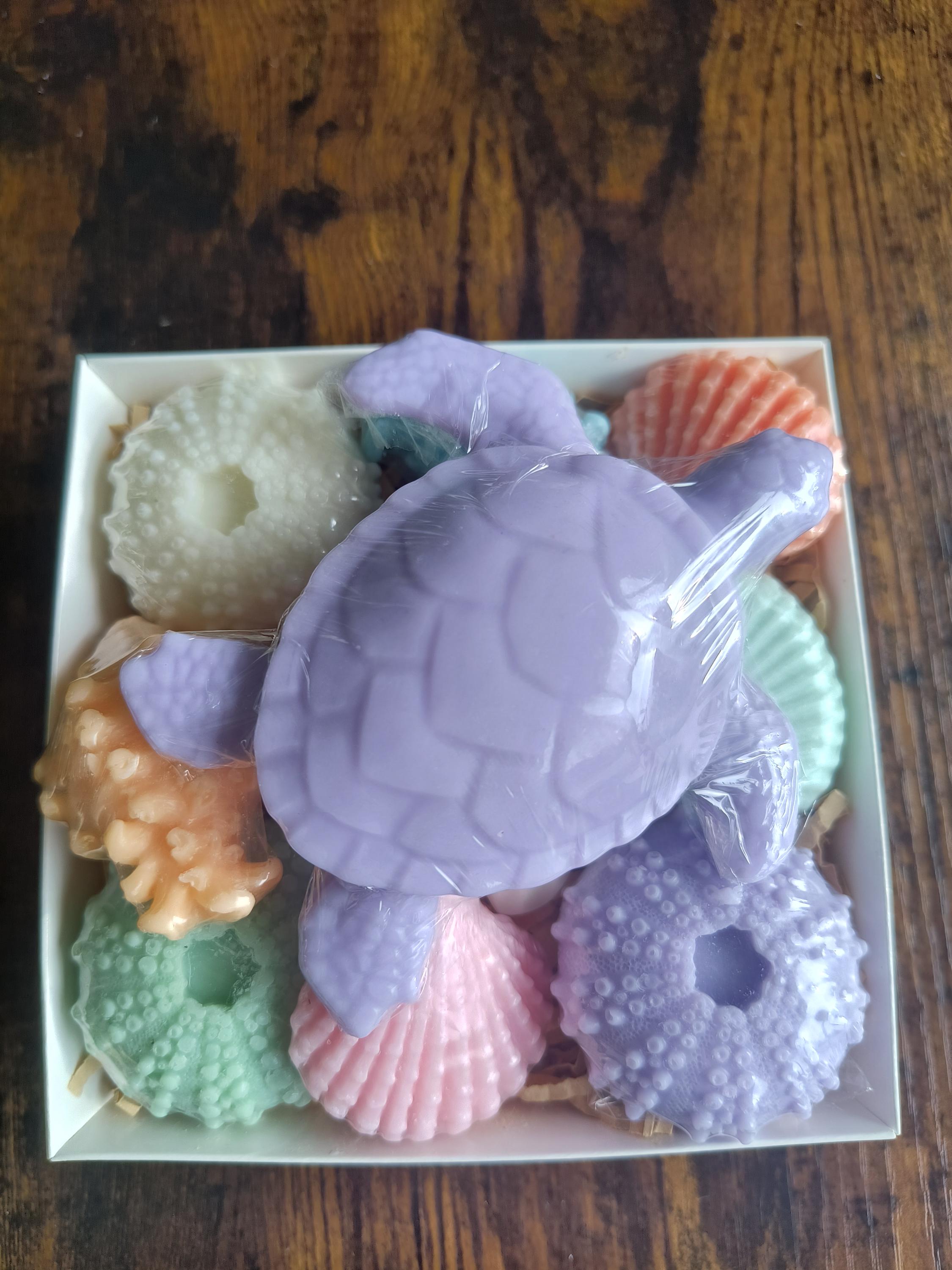 Beach Themed Soap Gift Box – Ready to Ship – Purple Sea Turtle & Coastal Soap Collection