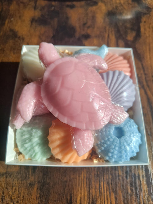 Beach Themed Soap Gift Box – Ready to Ship – Pink Sea Turtle & Coastal Soap Collection