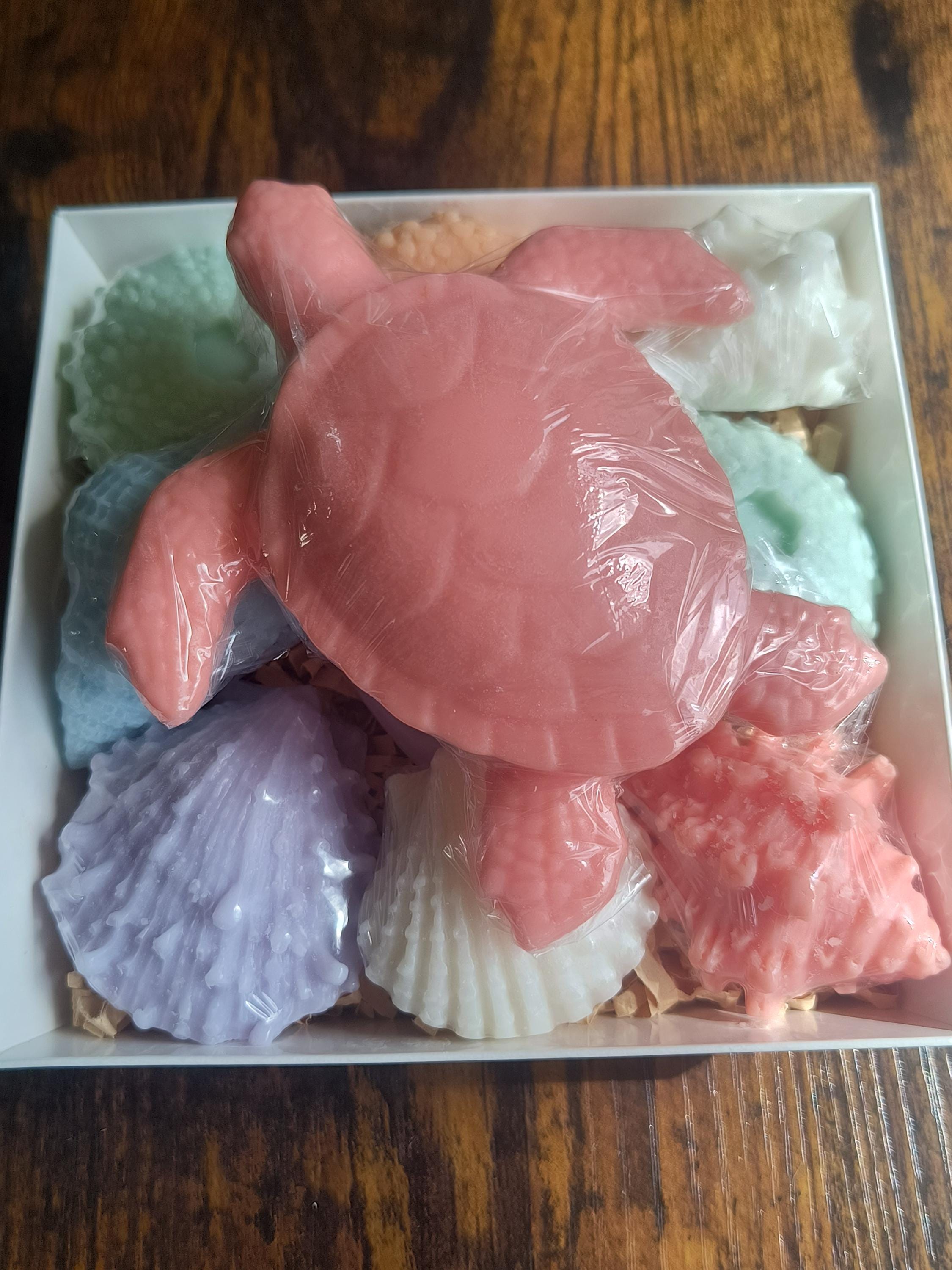 Beach Themed Soap Gift Box – Ready to Ship – Coral Sea Turtle & Coastal Soap Collection