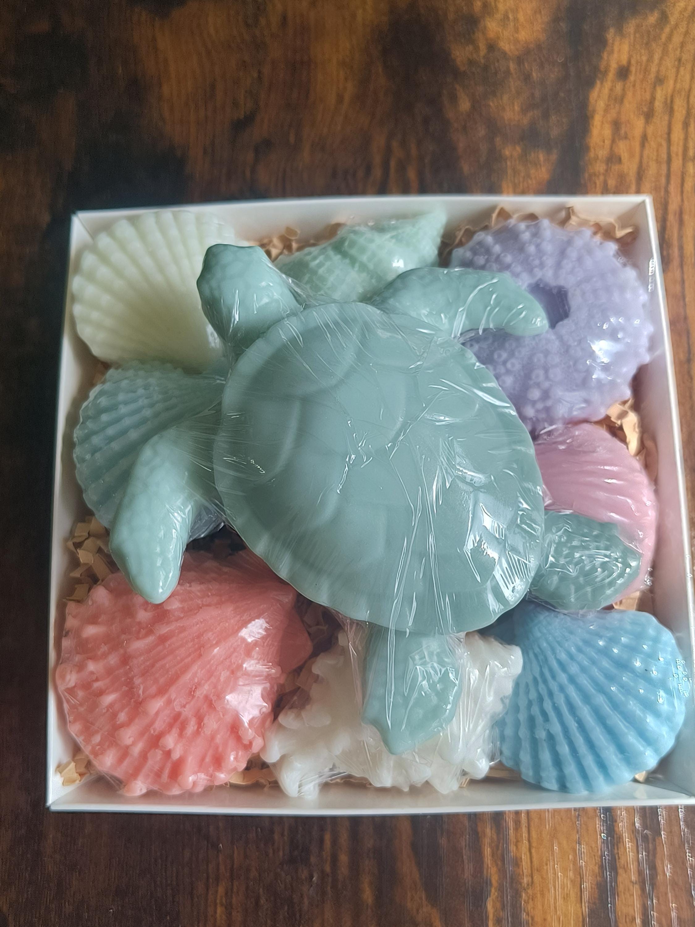Beach Themed Soap Gift Box – Ready to Ship – Green Sea Turtle & Coastal Soap Collection