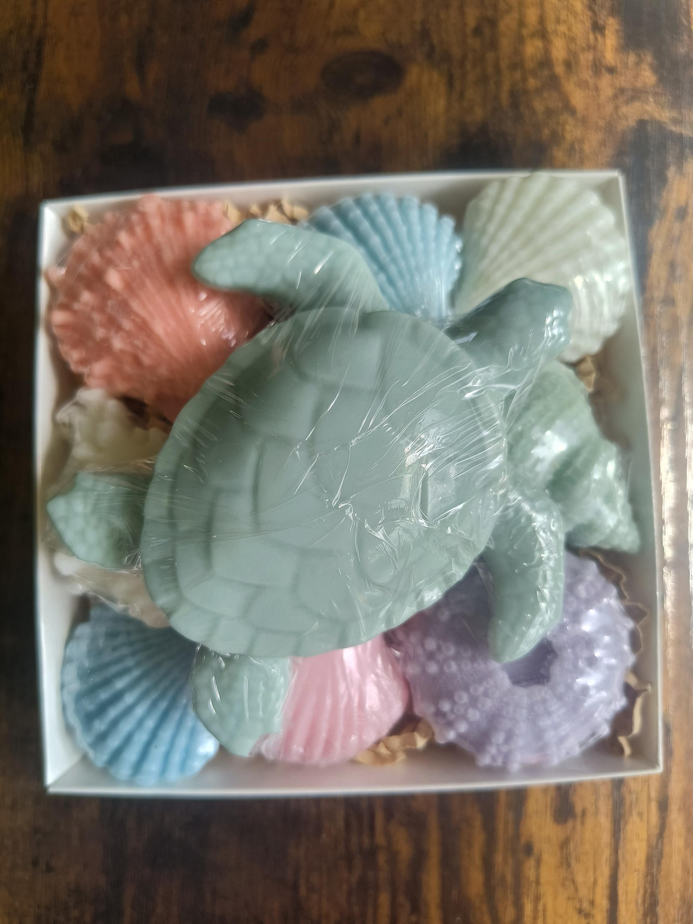 Beach Themed Soap Gift Box – Ready to Ship – Green Sea Turtle & Coastal Soap Collection