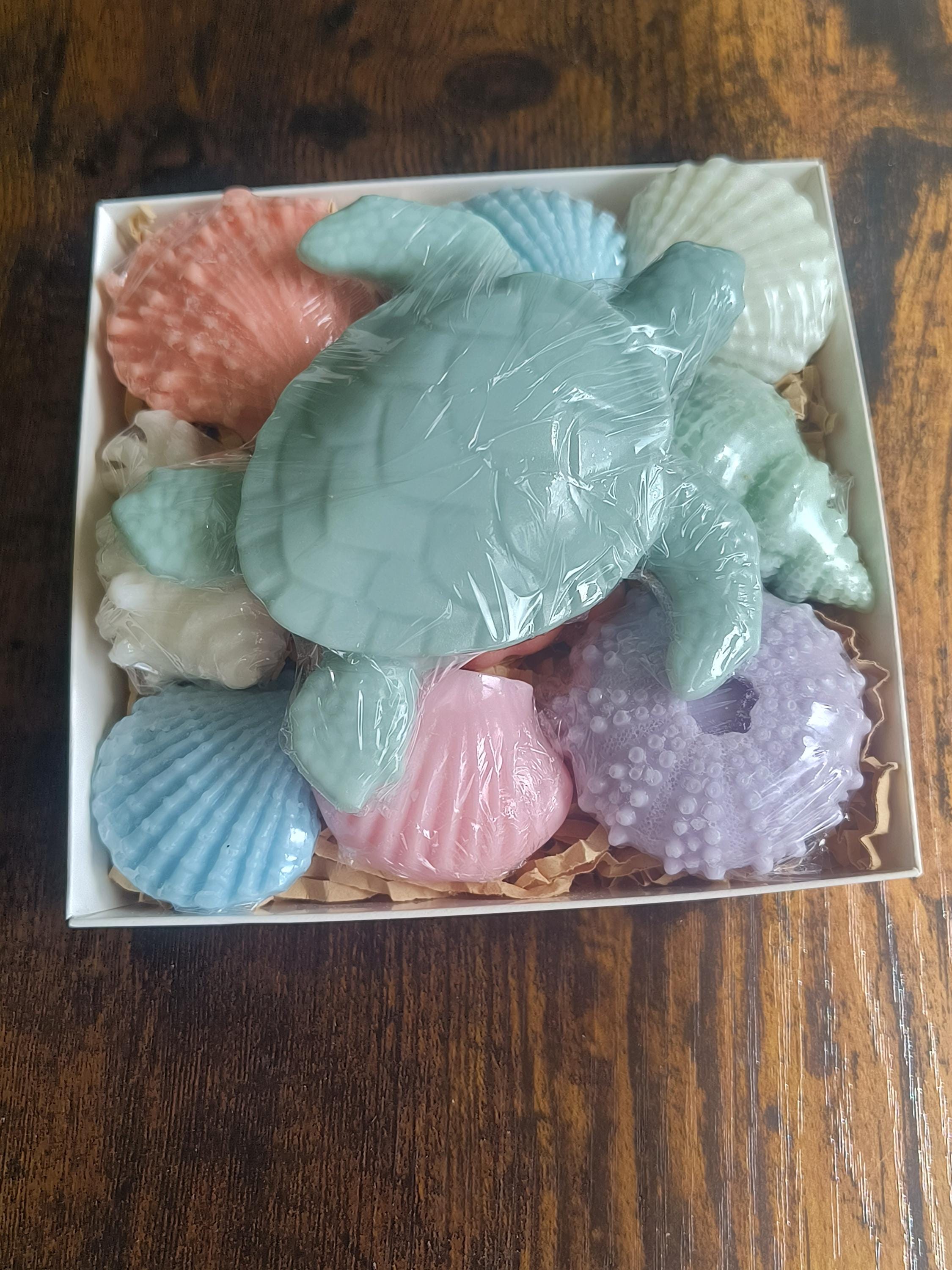 Beach Themed Soap Gift Box – Ready to Ship – Green Sea Turtle & Coastal Soap Collection