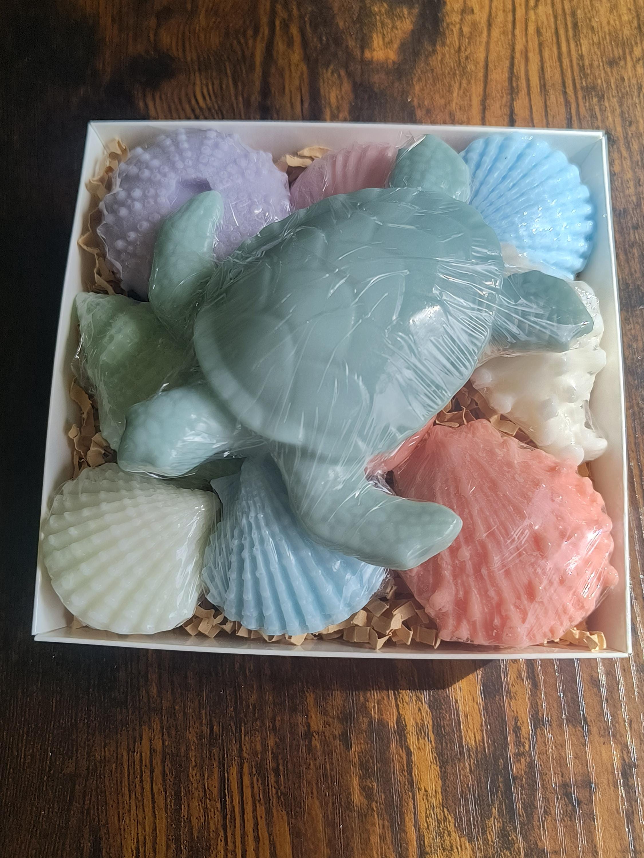 Beach Themed Soap Gift Box – Ready to Ship – Green Sea Turtle & Coastal Soap Collection